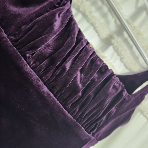 Bnwot Gorgeous Velvet Crop Top. Firm On Price. - Picture 5 of 9